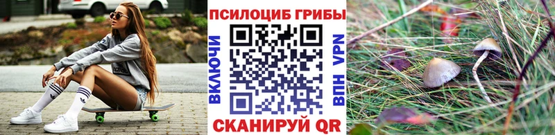 Псилоцибиновые грибы GOLDEN TEACHER  Кодинск 